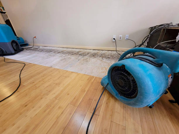 Professional Sewage Cleanup technician working in Hancock, IA